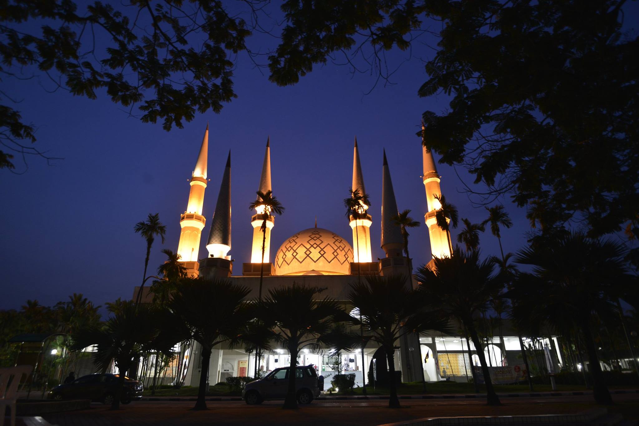 14188122_1252634691415305_3560096214692824220_o