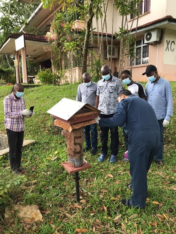 Practical stingless bEe